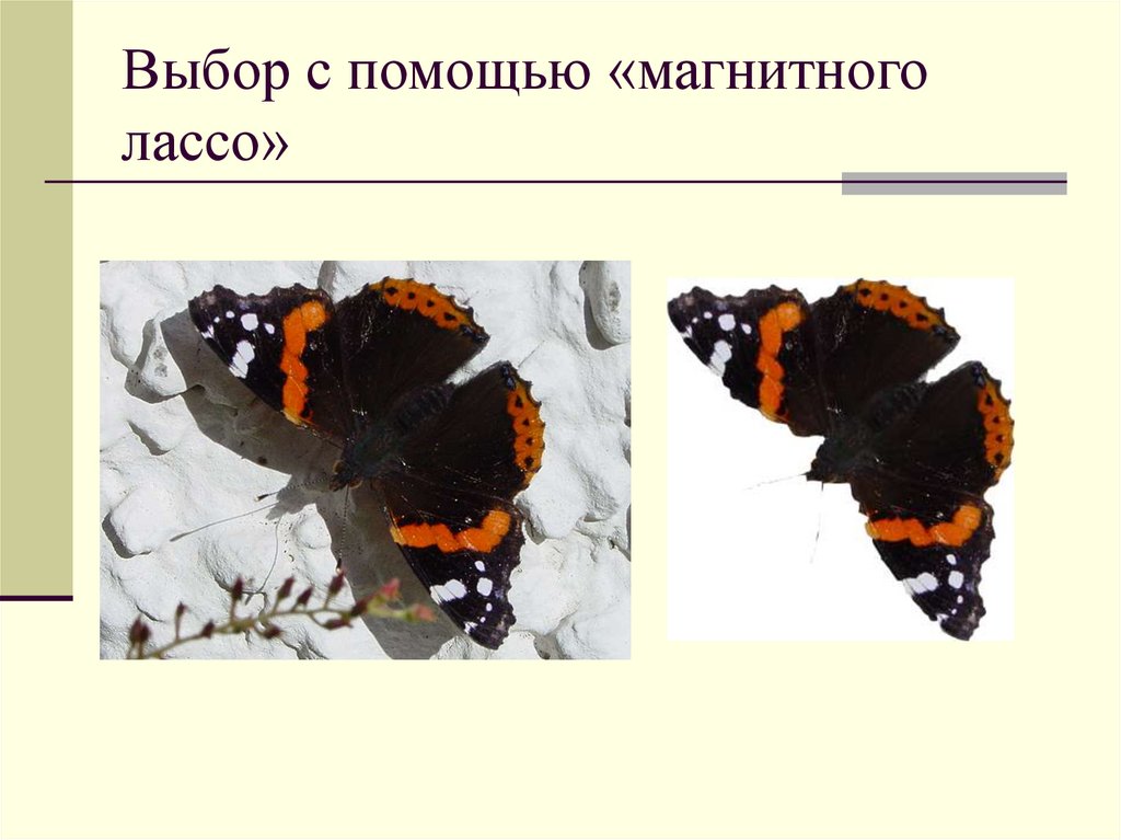 Выбор с помощью «магнитного лассо»