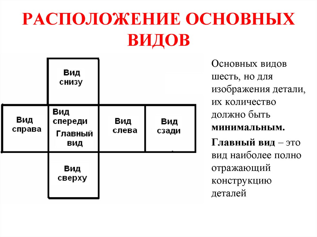 РАСПОЛОЖЕНИЕ ОСНОВНЫХ ВИДОВ
