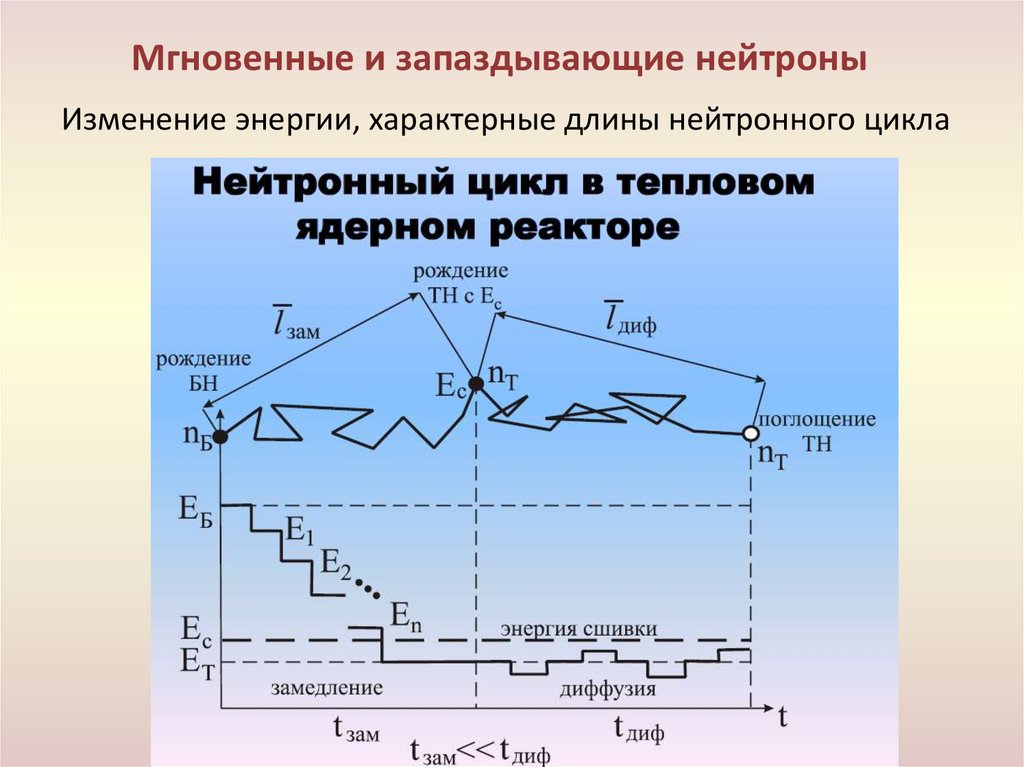Мгновенные и запаздывающие нейтроны