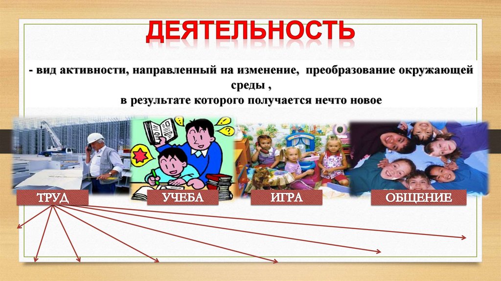 Психологи выделяют 4 типа темперамента: