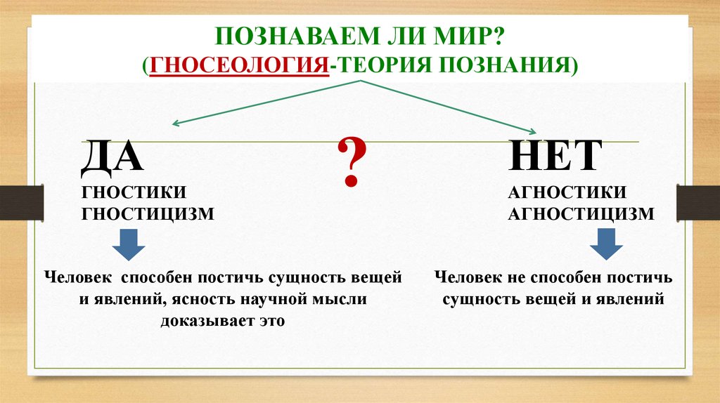 Познавательная деятельность