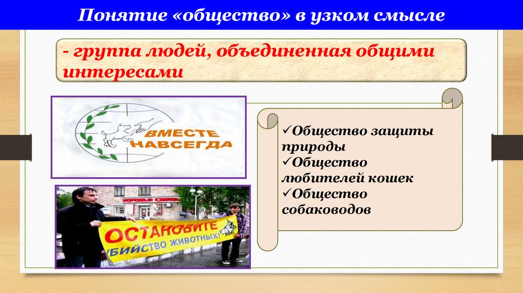 Понятие «общество» в узком смысле