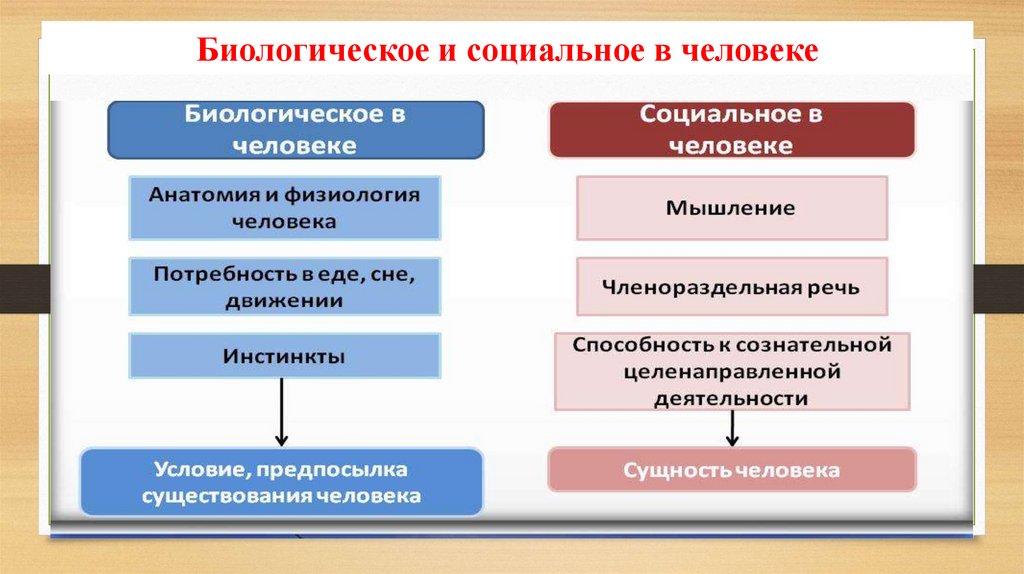 Тема: Человек. Индивид. Личность.