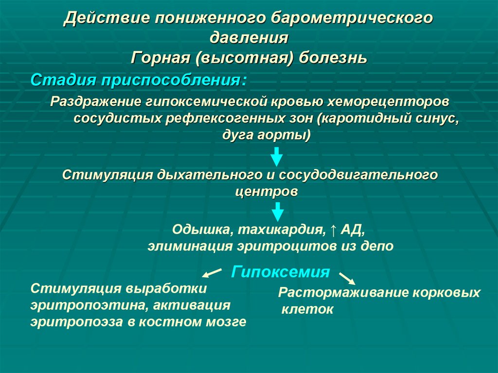 Действие пониженного барометрического давления Горная (высотная) болезнь