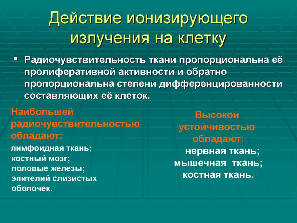 Действие ионизирующего излучения на клетку