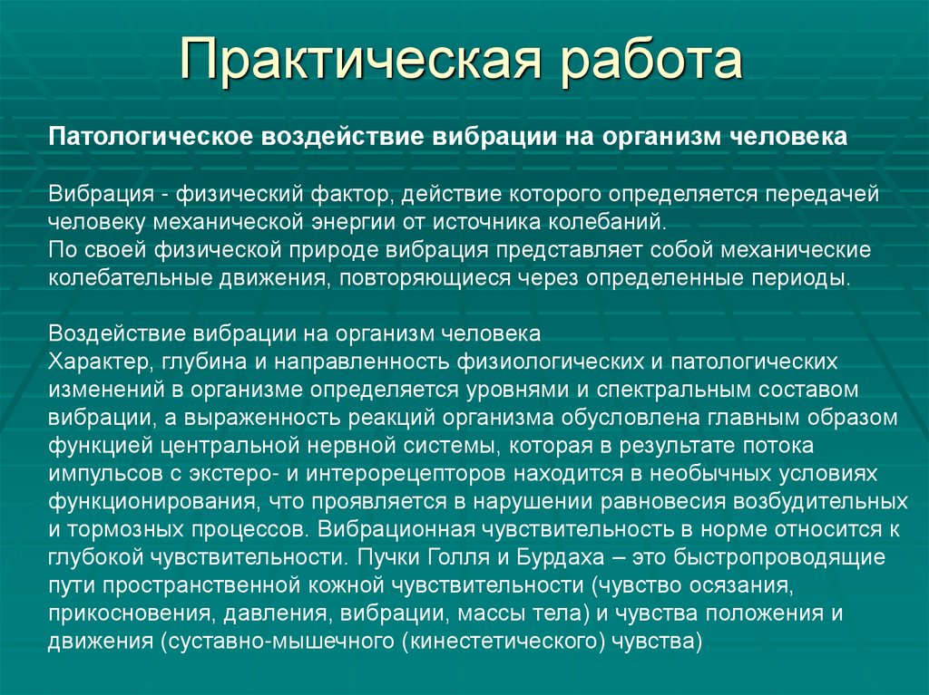 Практическая работа