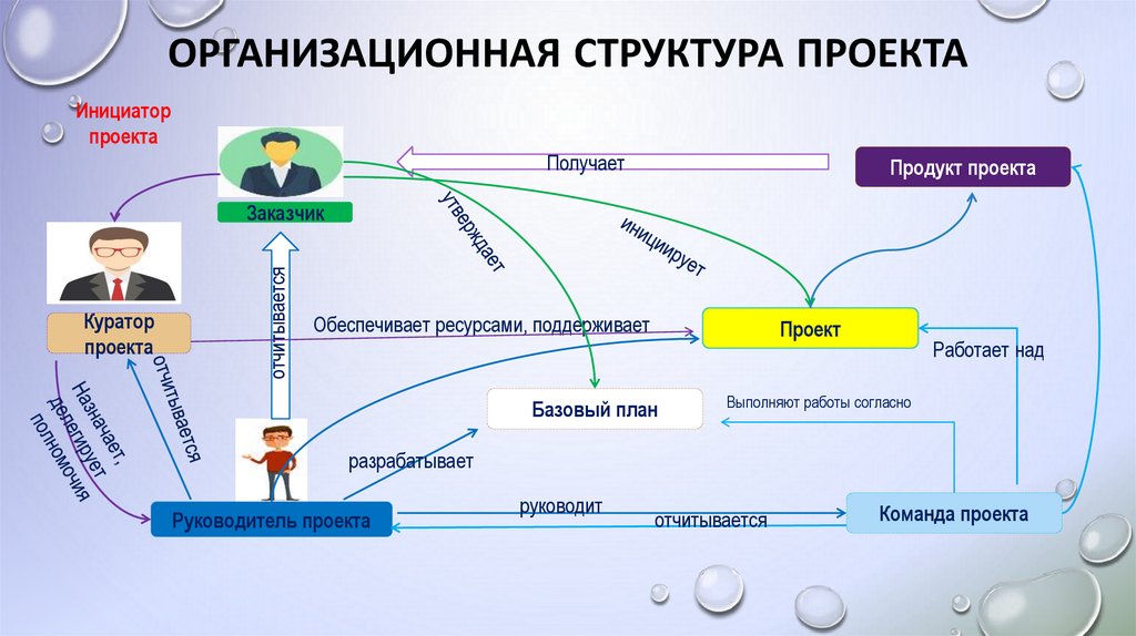 Организационная структура проекта