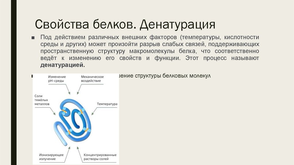 Свойства белков. Денатурация