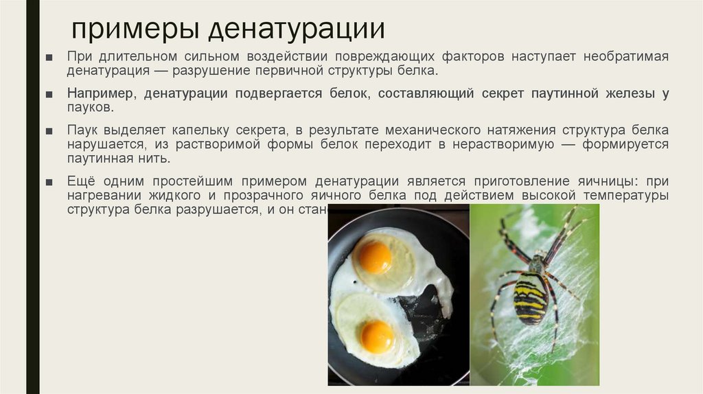 примеры денатурации