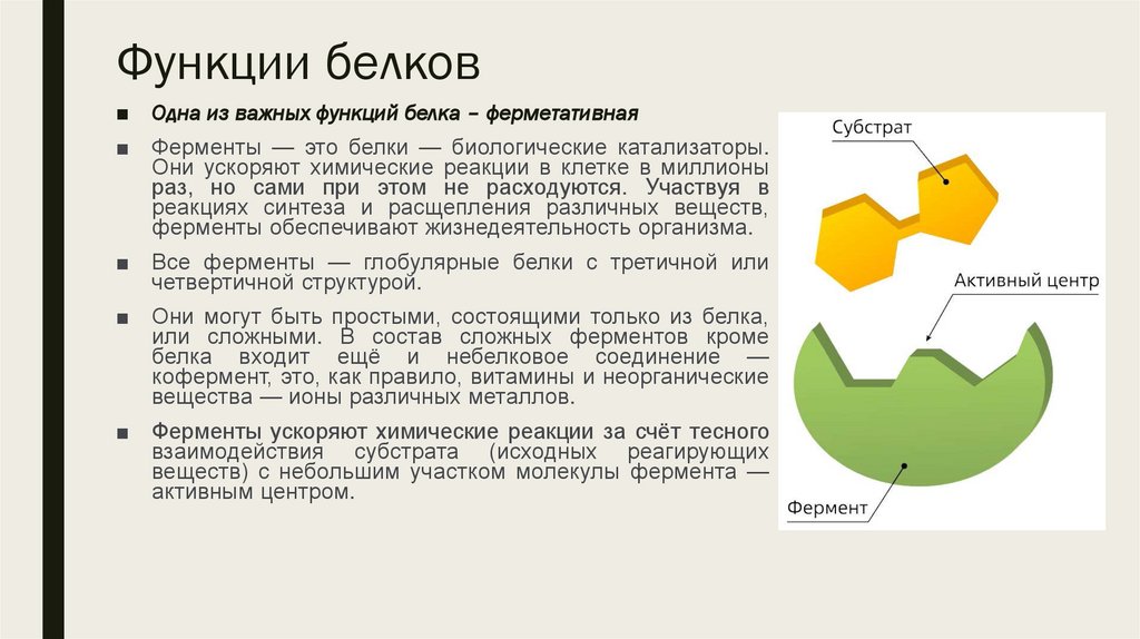 Функции белков