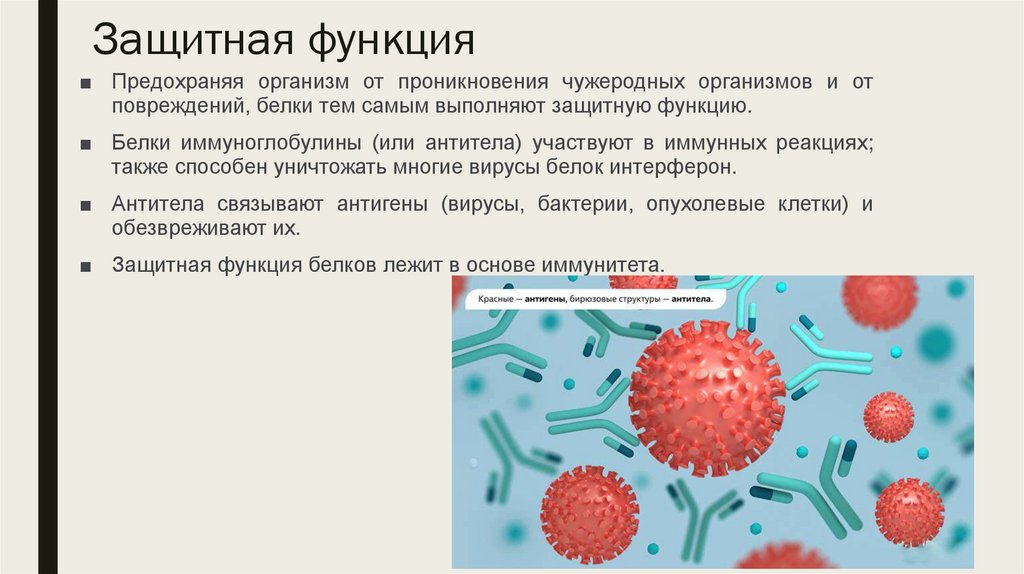 Защитная функция