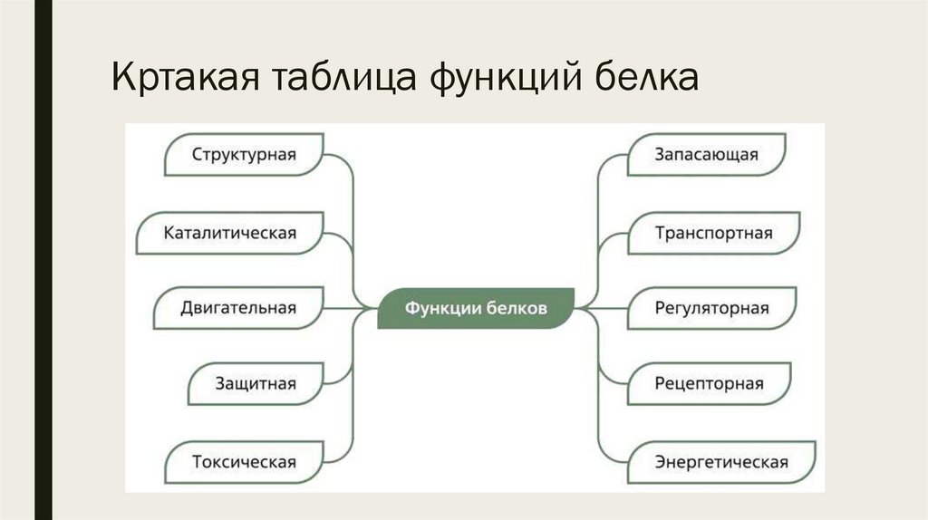 Кртакая таблица функций белка