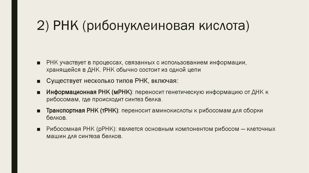 2) РНК (рибонуклеиновая кислота)