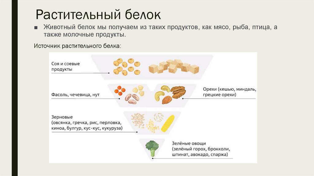 Растительный белок