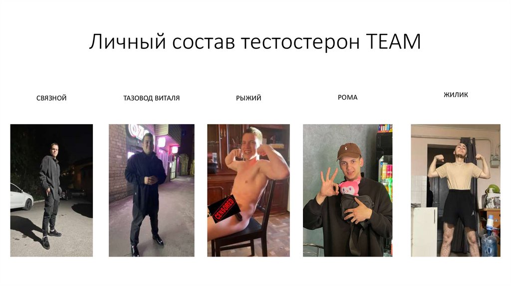 Личный состав тестостерон TEAM