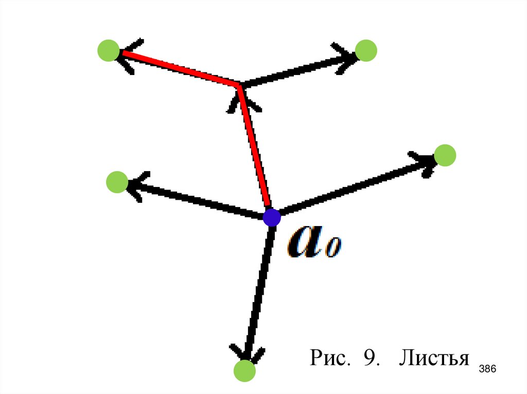 Рис. 9. Листья