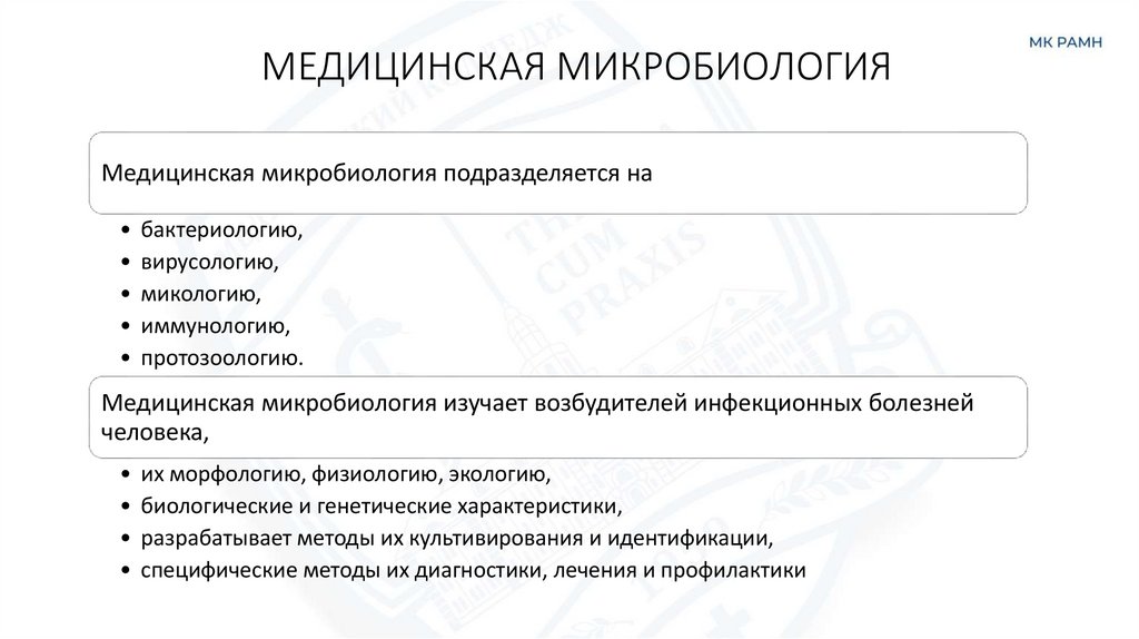 МЕДИЦИНСКАЯ МИКРОБИОЛОГИЯ