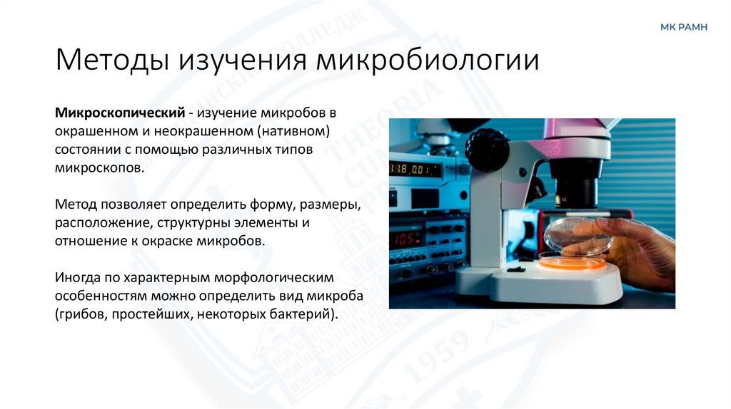 Методы изучения микробиологии