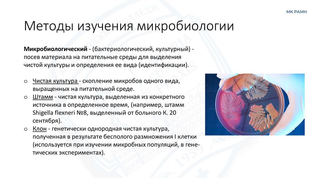 Методы изучения микробиологии