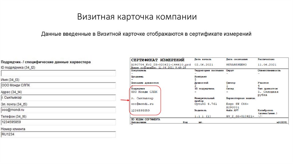 Визитная карточка компании