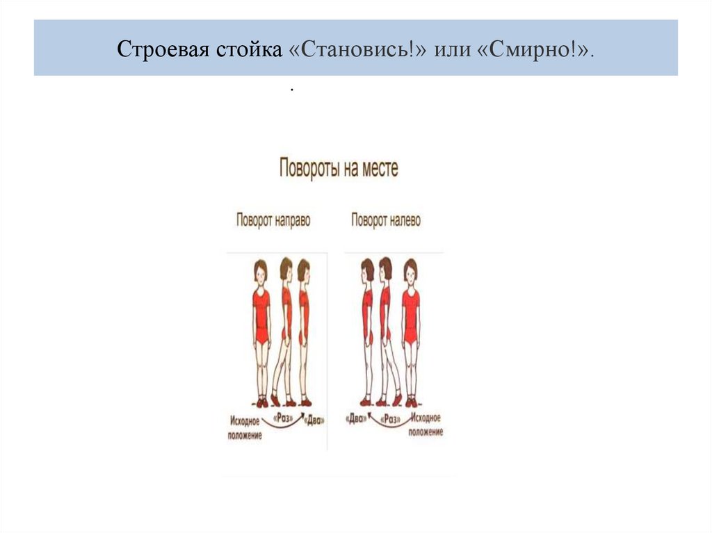Строевая стойка «Становись!» или «Смирно!».