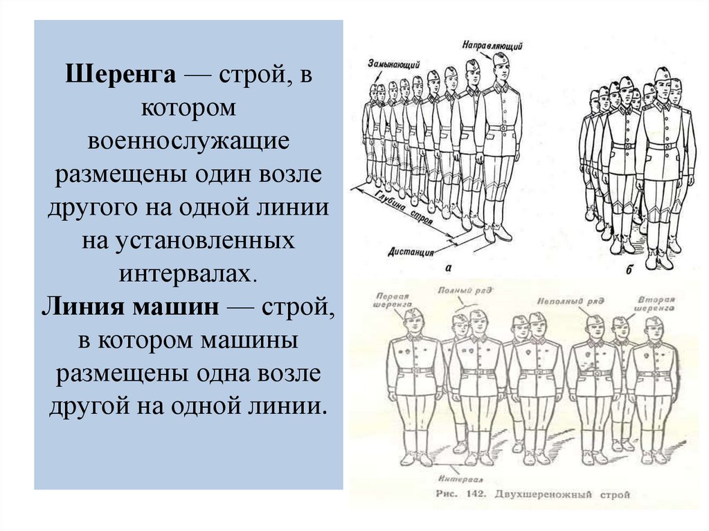 Шеренга — строй, в котором военнослужащие размещены один возле другого на одной линии на установленных интервалах. Линия машин