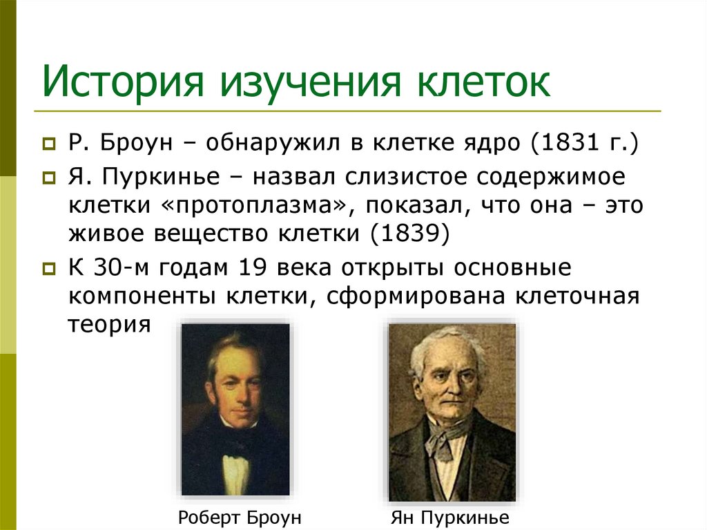 История изучения клеток
