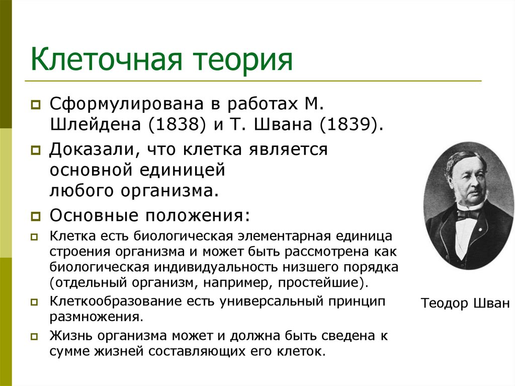 Клеточная теория