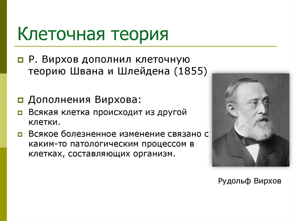 Клеточная теория