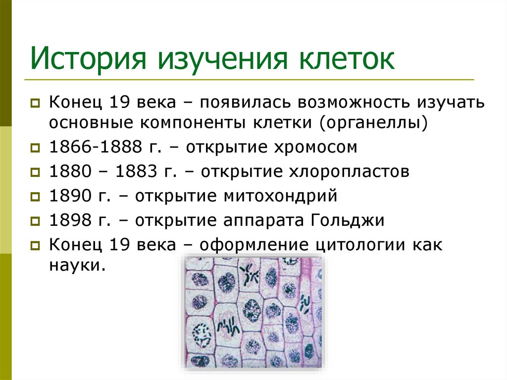 История изучения клеток