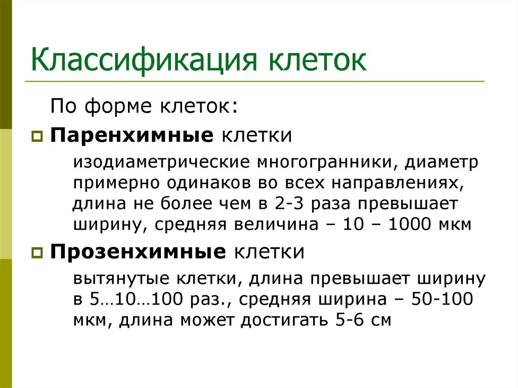 Классификация клеток