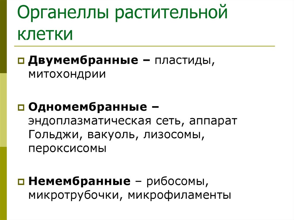 Органеллы растительной клетки