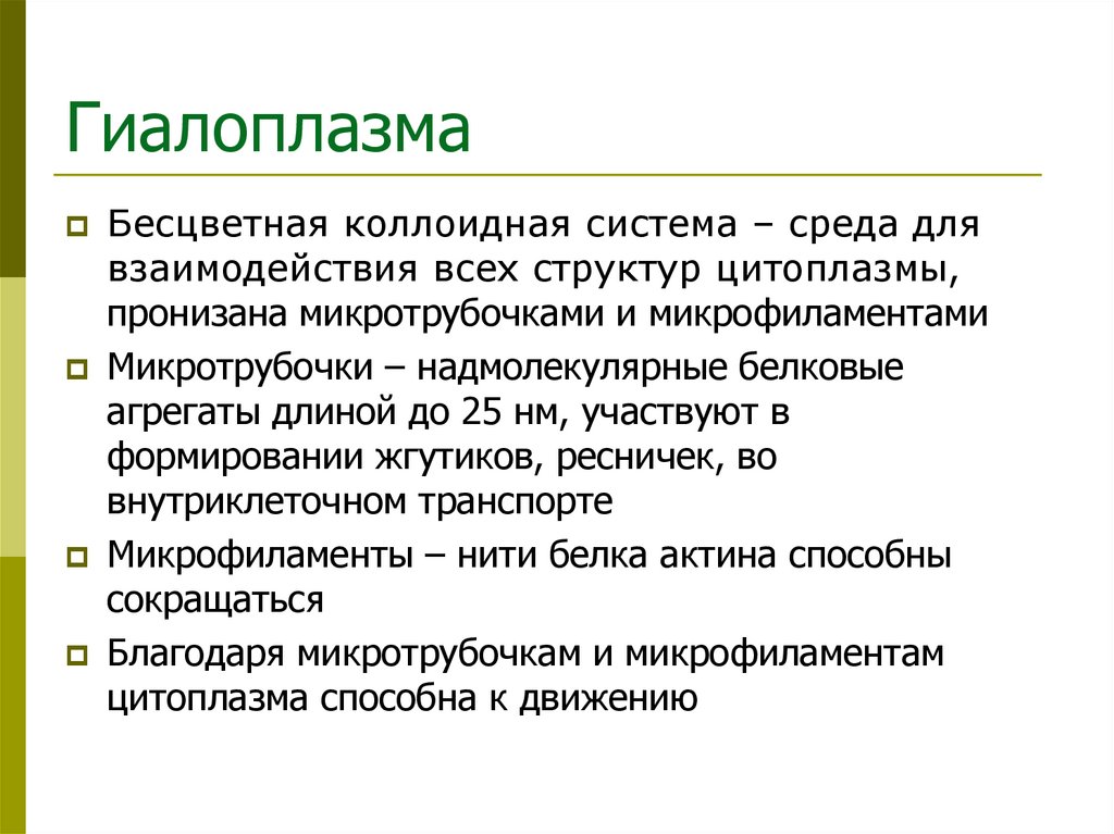 Гиалоплазма