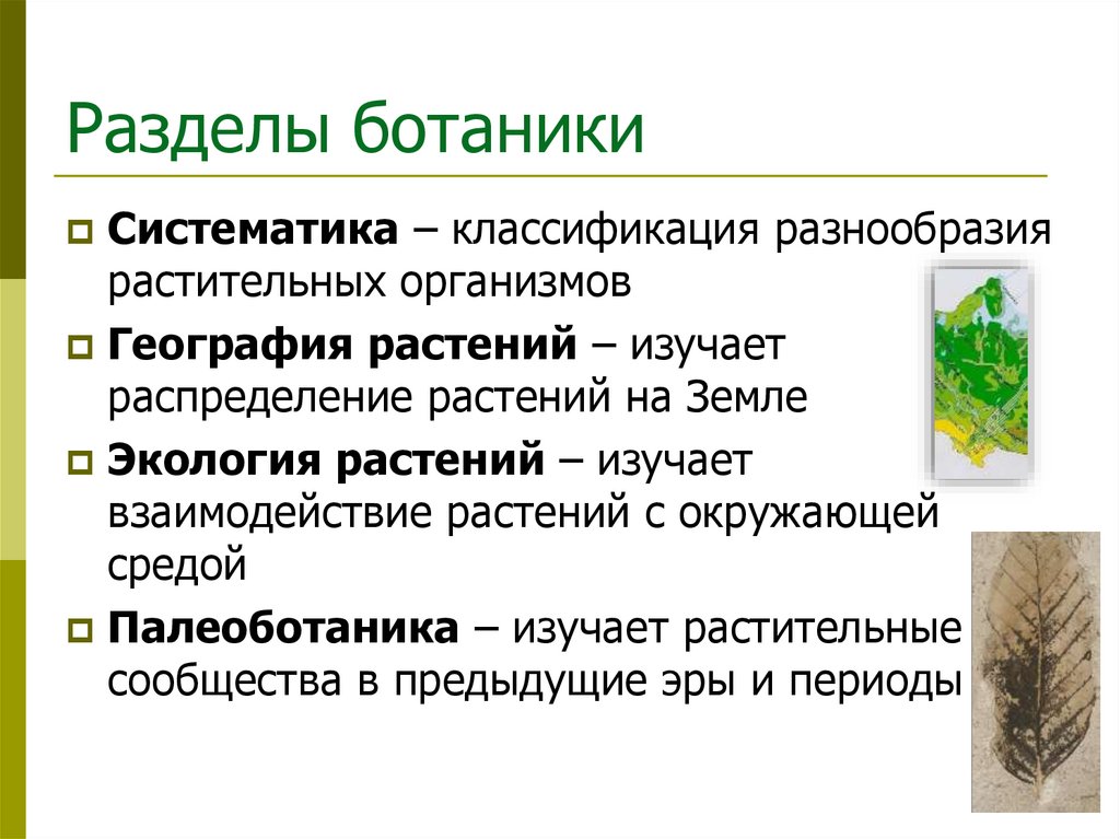 Разделы ботаники