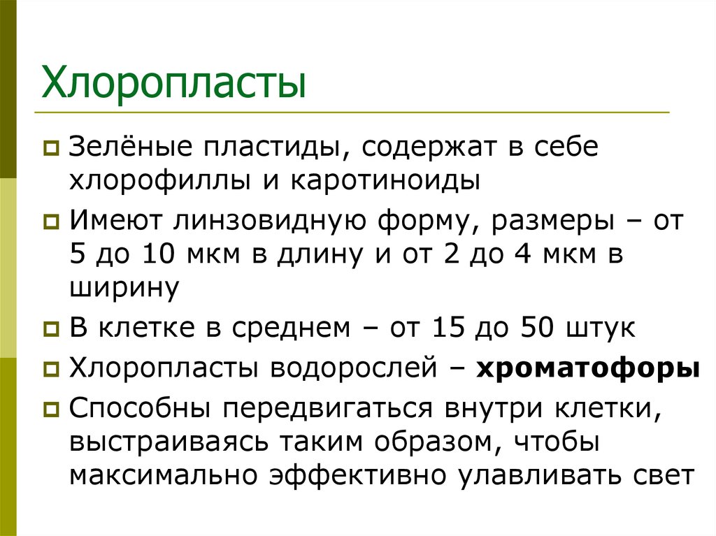 Хлоропласты