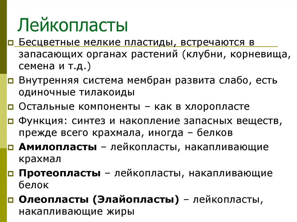 Лейкопласты