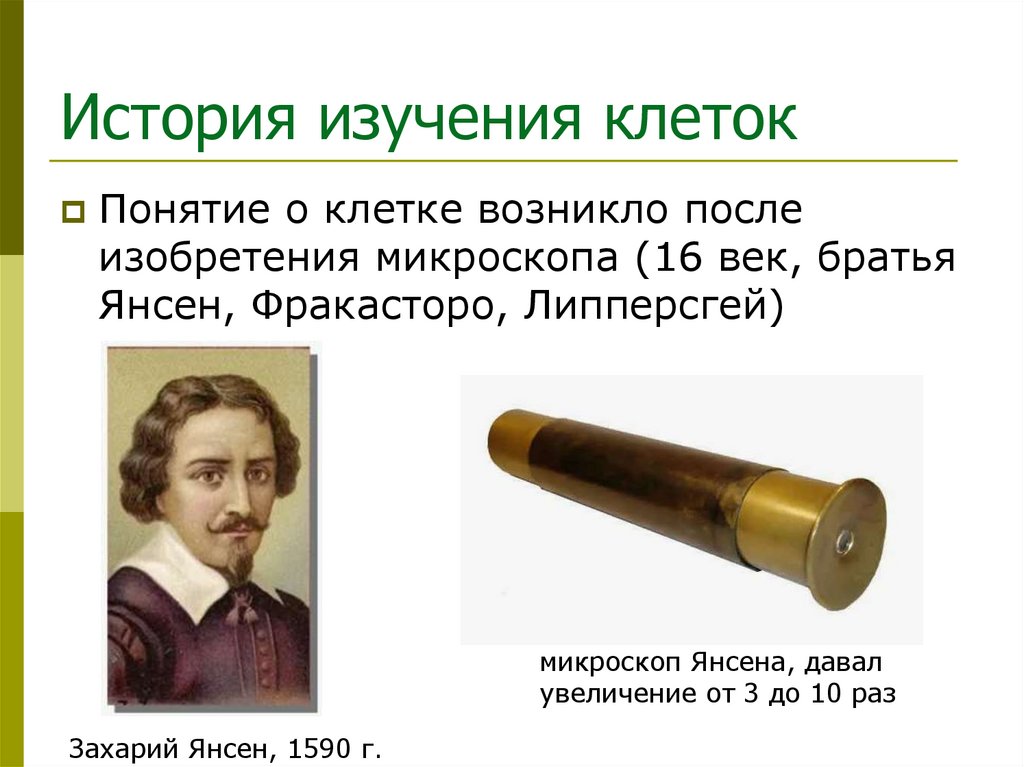 История изучения клеток