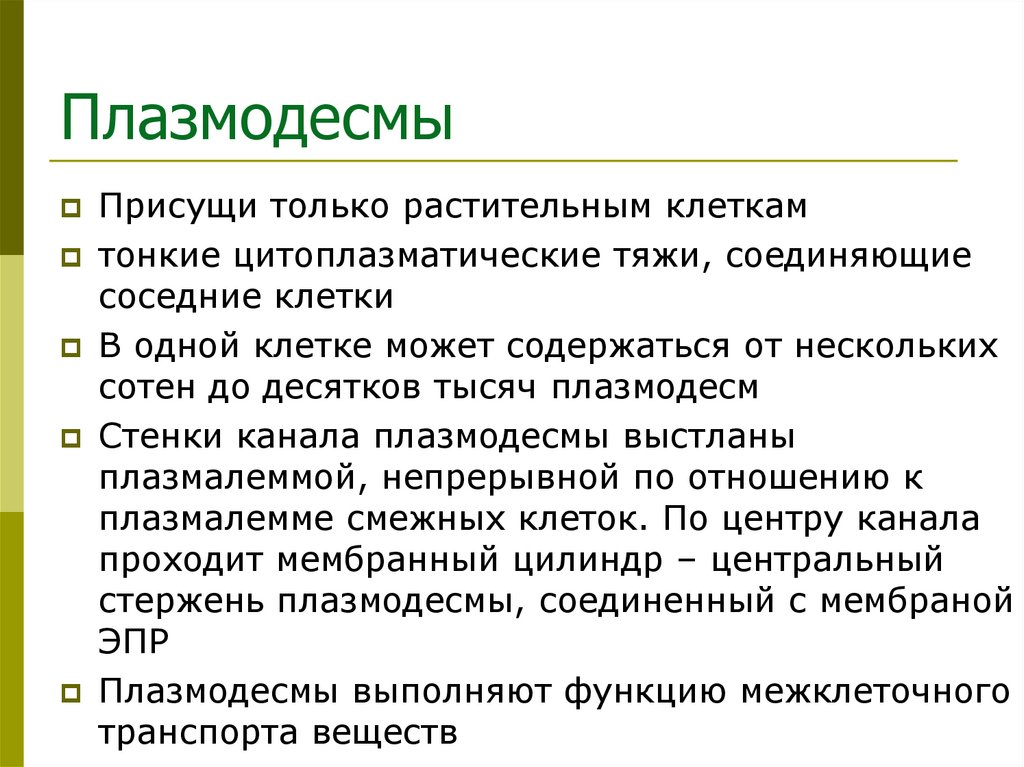 Плазмодесмы