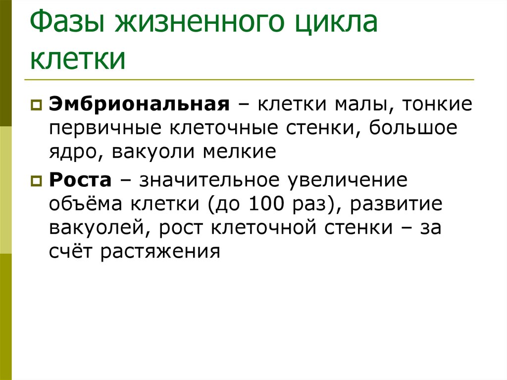 Фазы жизненного цикла клетки