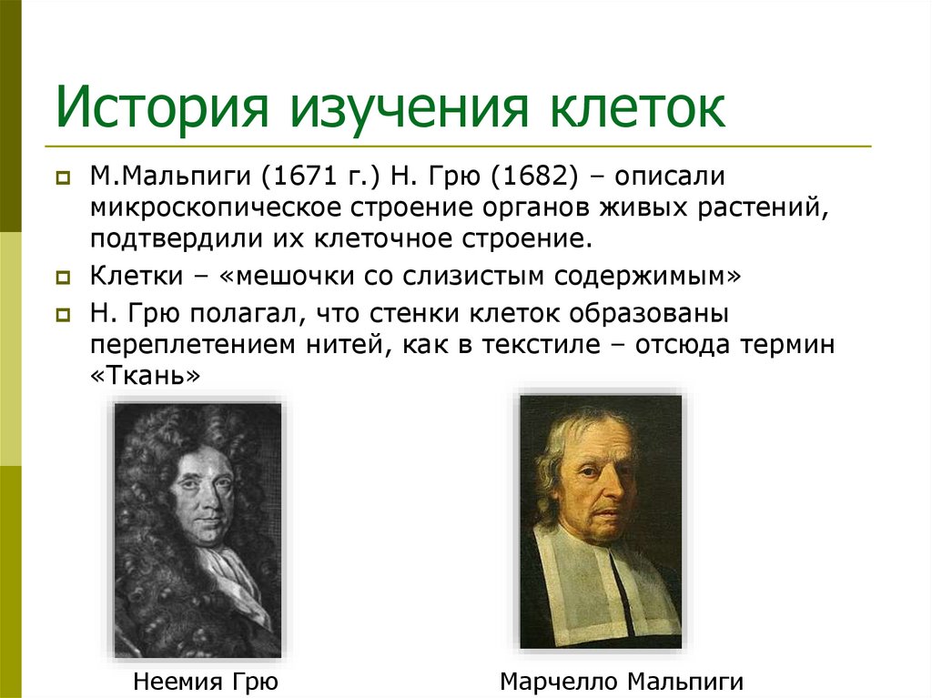 История изучения клеток