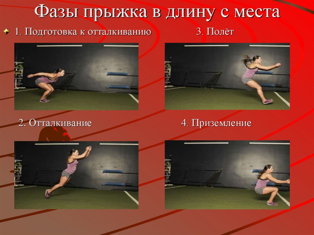 Фазы прыжка в длину с места