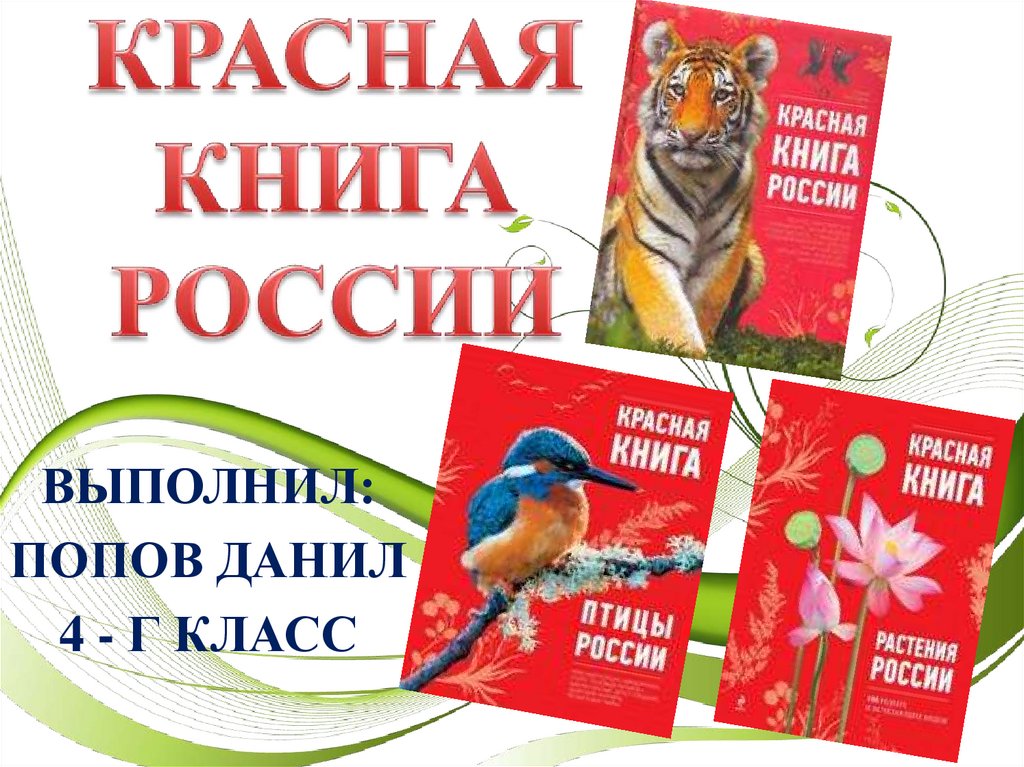 Презентация по окружающему миру на тему "Красная книга Тульской области". 2 клас
