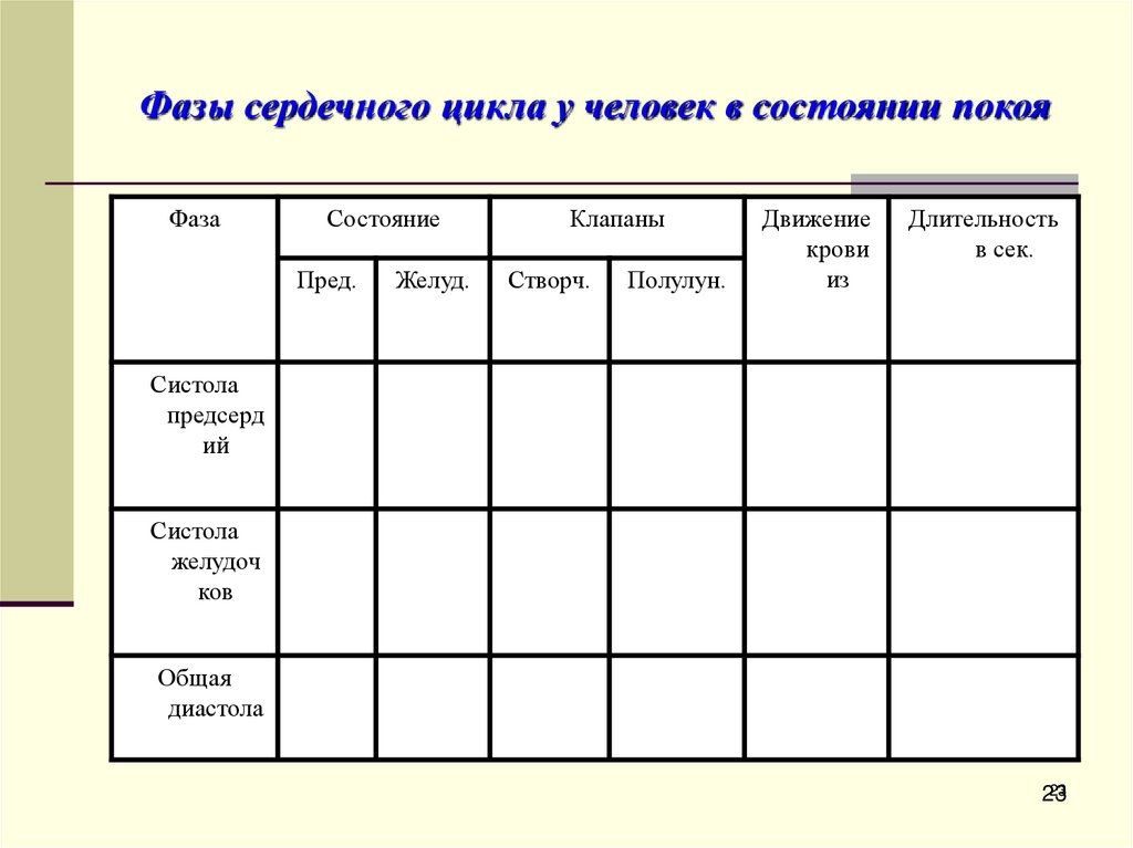 Фазы сердечного цикла у человек в состоянии покоя