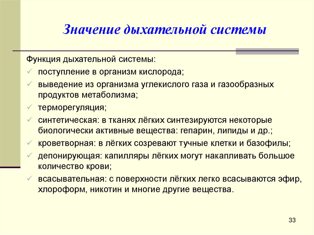 Значение дыхательной системы