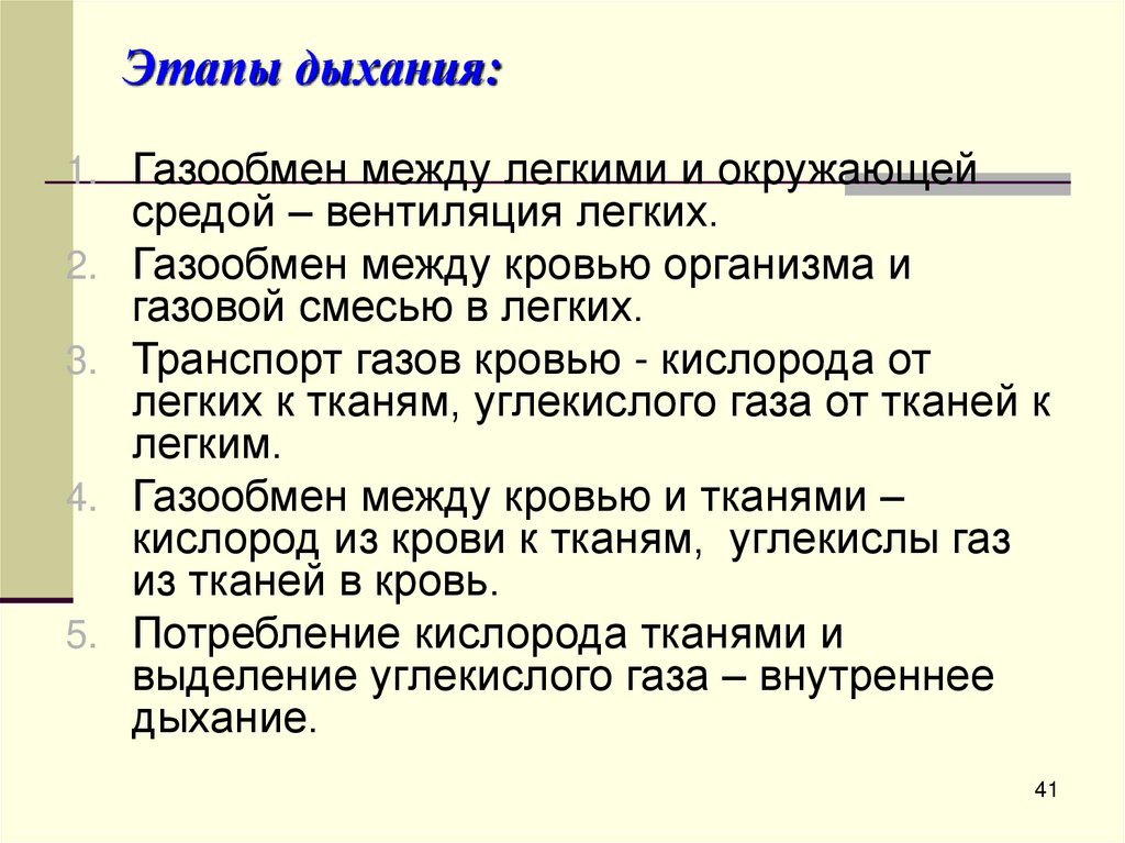 Этапы дыхания: