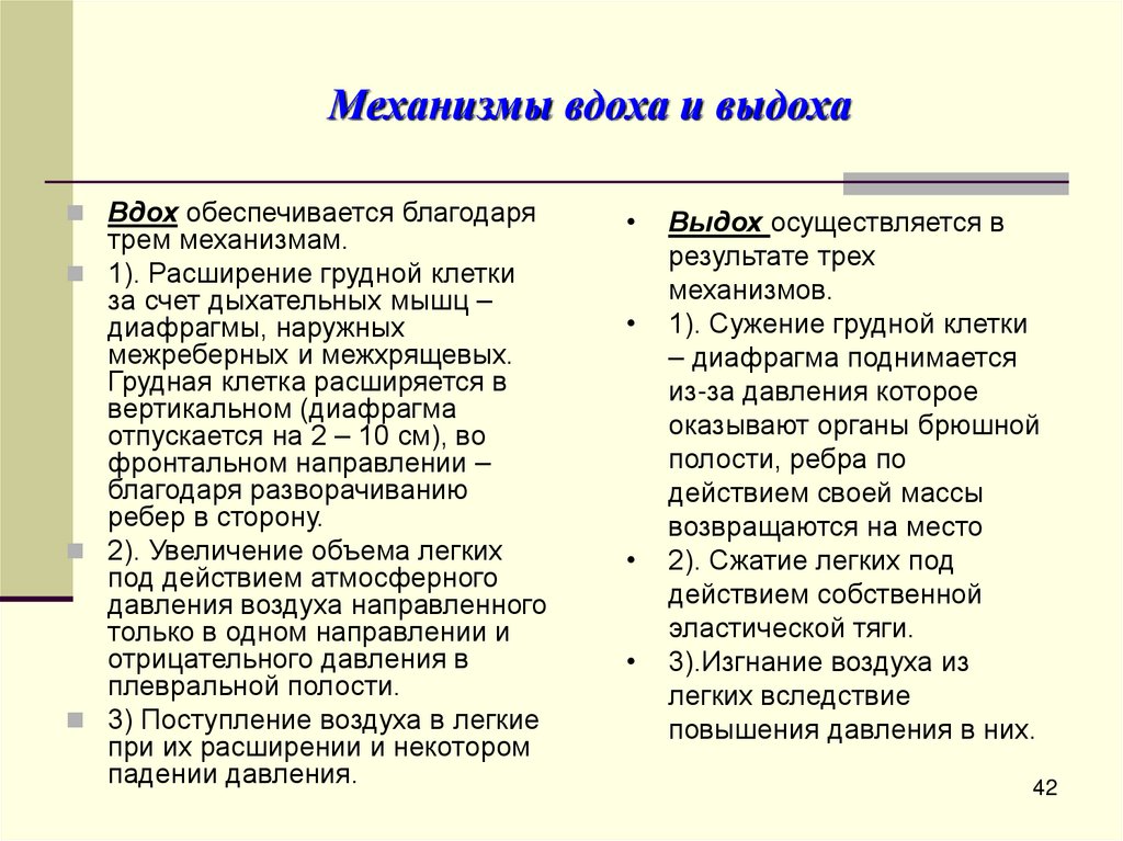 Механизмы вдоха и выдоха