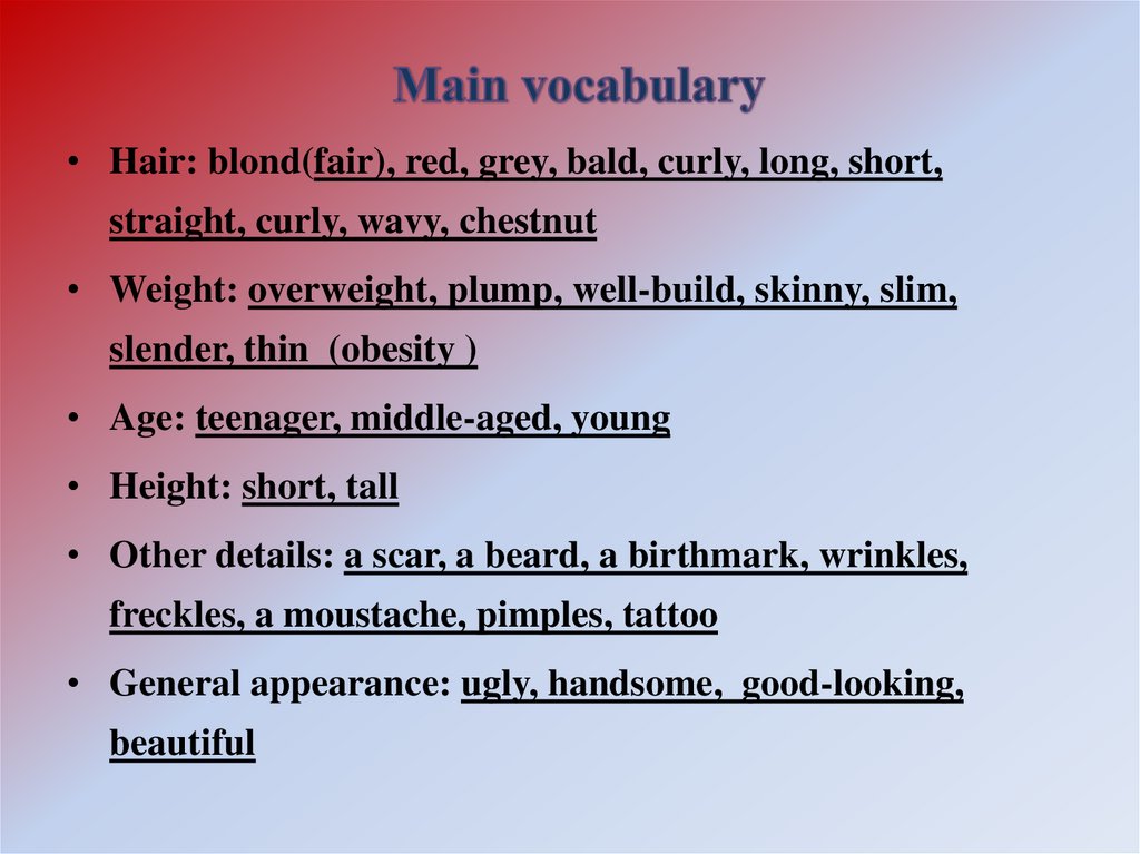 Main vocabulary