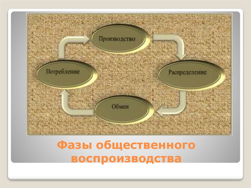 Фазы общественного воспроизводства