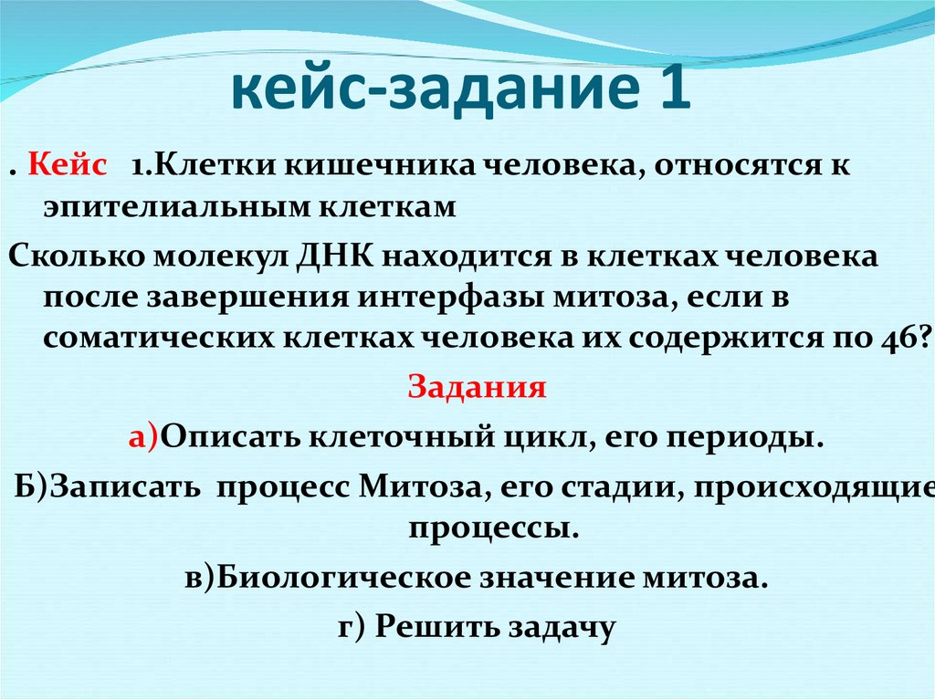 кейс-задание 1