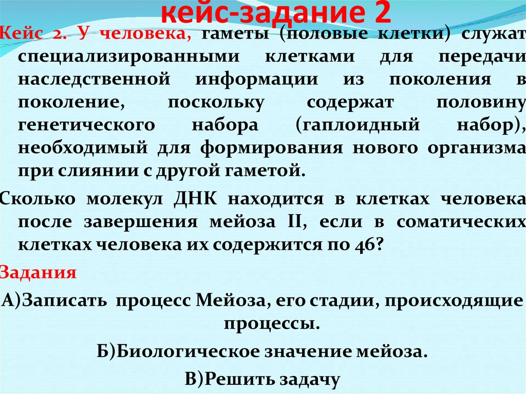 кейс-задание 2